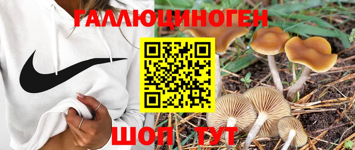 Галлюциногенные грибы Psilocybe  Псилоцибиновые грибы Magic Shrooms  Вход с VPN  Шебекино 