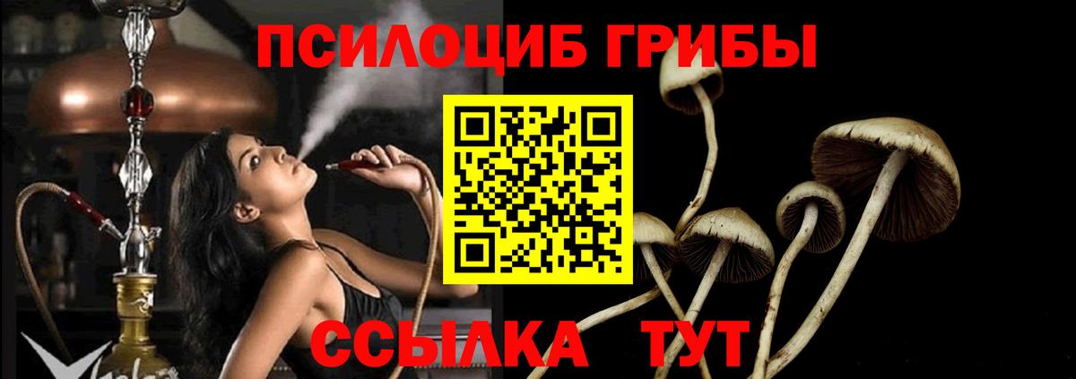 Псилоцибиновые грибы ЛСД Шебекино